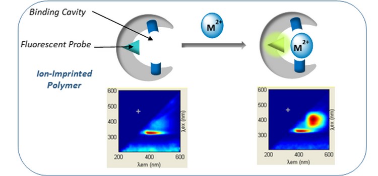 Development and characterization of polymer and composite materials for the detection of metal cations. Application: monitoring of the water quality in Toulon harbor