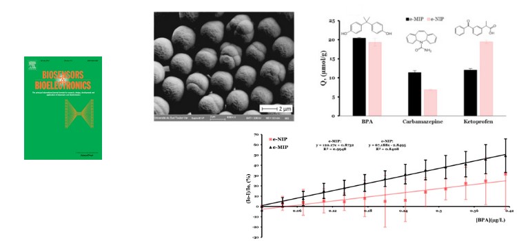 Detection of Bisphenol A in aqueous medium by screen printed carbon electrodes incorporating electrochemical molecularly imprinted polymers