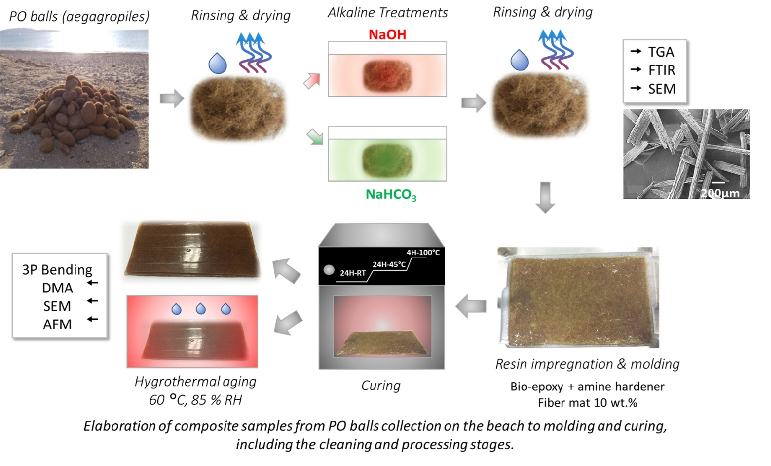 Impact of Fiber Treatments on the Properties and Aging Behavior of a Bio- Composite Characterized From Nano- to Macro- Scale
