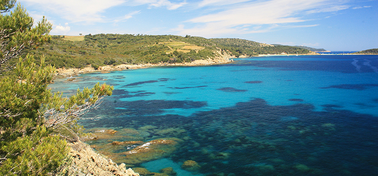  Study of marine biofilms as bio-indicators of seawater quality in costal Mediterranean environments