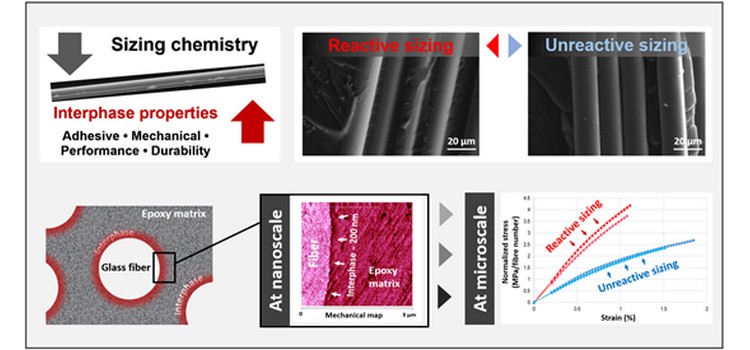 Multiscale investigation of the effect of sizing chemistry on the adhesion and interfacial properties of glass fiber-reinforced epoxy composites