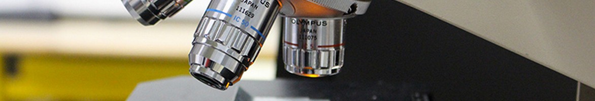 Digital microscope (HIROX - KH-7700)