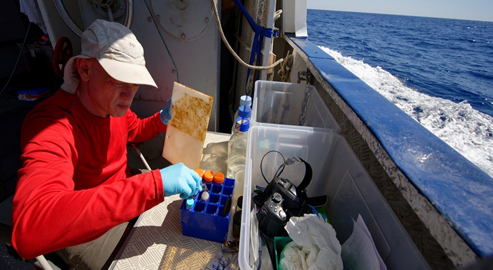 Focus on SUCHIMED : A researcher study marine pollution in the Mediterranean sea with biofilms