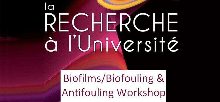 6th Workshop on Biofilms/Biofouling & Antifouling