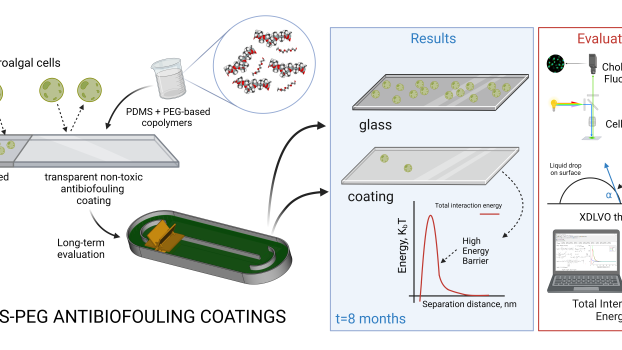 Long-lasting biofouling formation on transparent fouling-release coatings for the construction of efficient closed photobioreactors