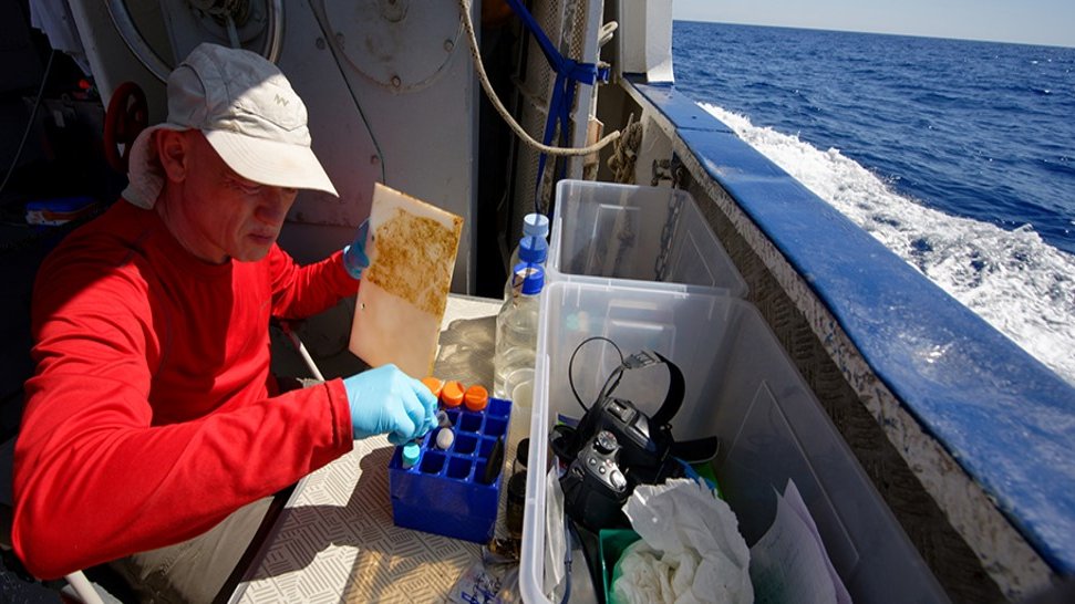 Focus on SUCHIMED : A researcher studies marine pollution in the Mediterranean sea with biofilms