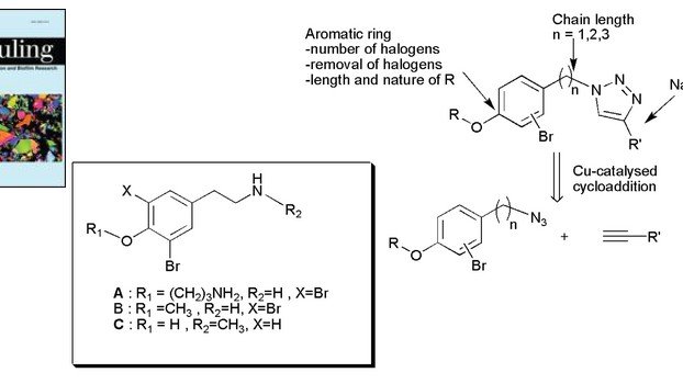 Screening of bromotyramine analogues as antifouling compounds against marine bacteria